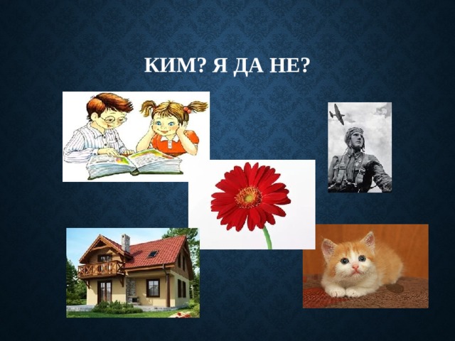 КИМ? я да НЕ? 