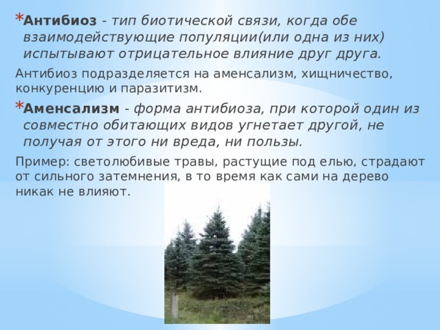 Комменсализм и аменсализм. Аменсализм. Аменсализм примеры. Аменсализм Тип взаимоотношений. Примеры аменсализма в биологии.