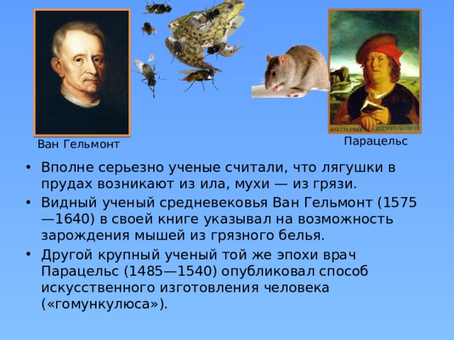Парацельс Ван Гельмонт Вполне серьезно ученые считали, что лягушки в прудах возникают из ила, мухи — из грязи. Видный ученый средневековья Ван Гельмонт (1575—1640) в своей книге указывал на возможность зарождения мышей из грязного белья. Другой крупный ученый той же эпохи врач Парацельс (1485—1540) опубликовал способ искусственного изготовления человека («гомункулюса»). 