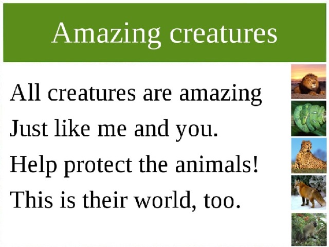 Amazing creatures 5 класс spotlight презентация