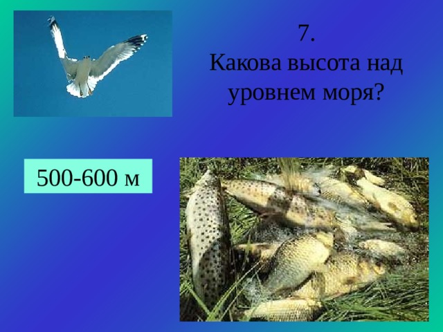 7. Какова высота над уровнем моря? 500-600 м 