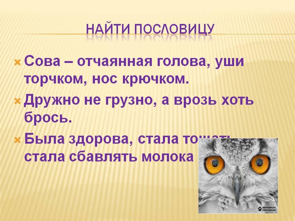 Сова литературное чтение 2 класс. Пословицы к сказке Сова Бианки. Поговорки про сову. Пословицы к сказке Сова. Пословицы и поговорки про сову.