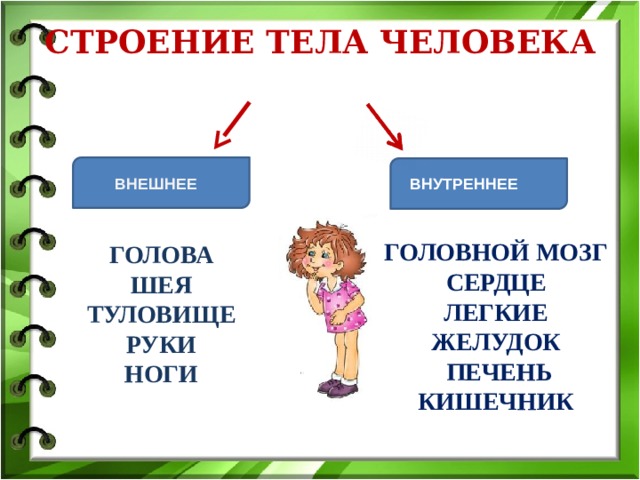 Технологическая карта урока окружающий мир 3 класс организм человека