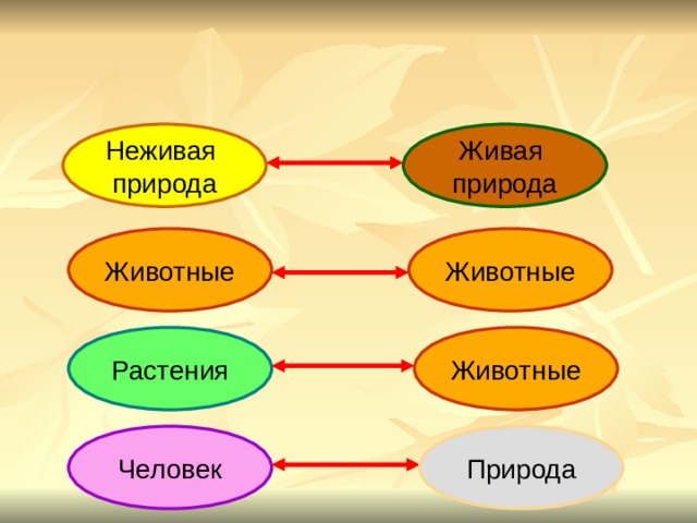 Невидимые нити 2 класс окружающий мир тетрадь. Невидимые нити живой и неживой природы. Невидимые нити между живой и неживой природой. Живое неживое растения животные человек природа. Человек Живая природа.