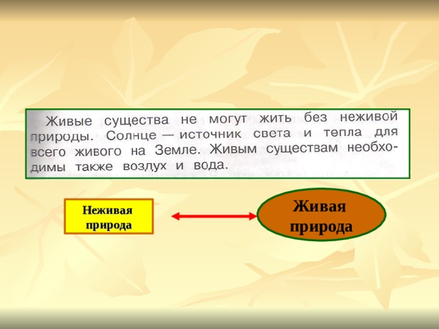 Окружающий мир 2 класс презентация невидимые нити. Невидимые нити живой и неживой природы.