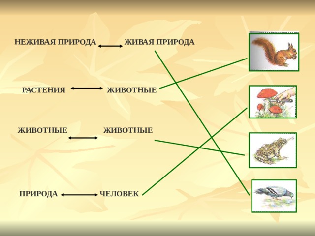 Живое неживое растения животные человек природа. Невидимые нити человек и природа. Невидимые нити живой и неживой природы. Живая природа растения животные человек. Невидимые связи в природе между человеком и природой.