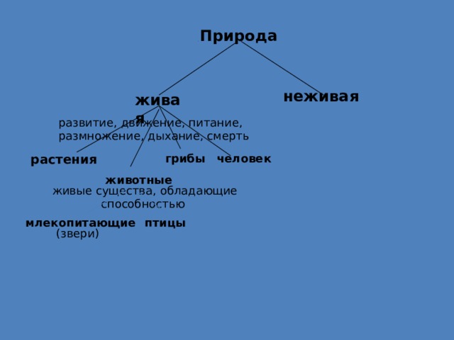 Признаки живых существ 2 класс окружающий мир схема