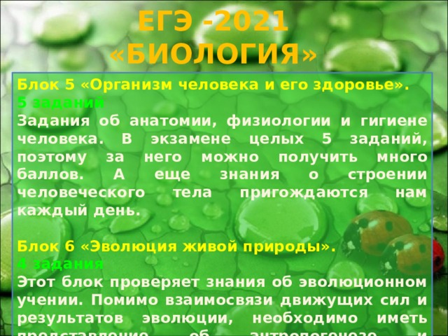 6 класс биология 2021 год. Блоки биологии. Блоки биология презентация.