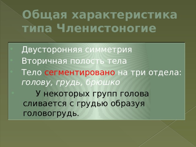 Общая характеристика типа Членистоногие Двусторонняя симметрия Вторичная полость тела Тело сегментировано на три отдела: голову,  грудь,  брюшко  У некоторых групп голова сливается с грудью образуя головогрудь. 