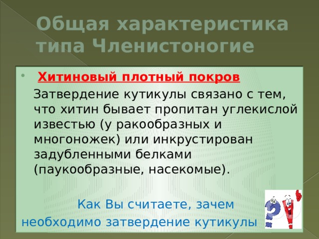 Общая характеристика типа Членистоногие  Хитиновый плотный покров  Затвердение кутикулы связано с тем, что хитин бывает пропитан углекислой известью (у ракообразных и многоножек) или инкрустирован задубленными белками (паукообразные, насекомые).  Как Вы считаете, зачем необходимо затвердение кутикулы 