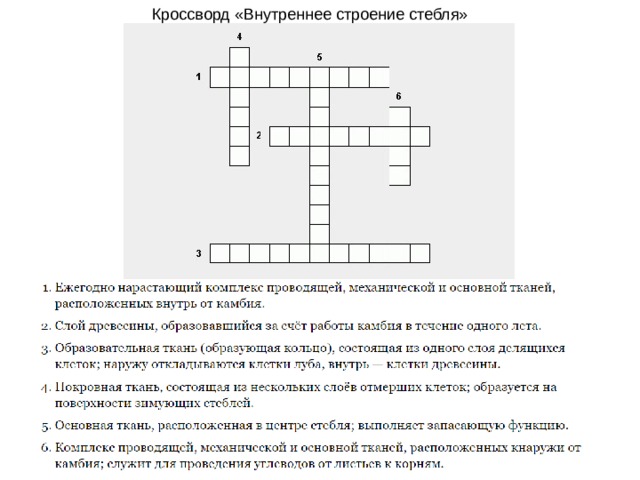 Какие словосочетания имеют одинаковое строение подчеркни их допиши схему их строения алый цветок