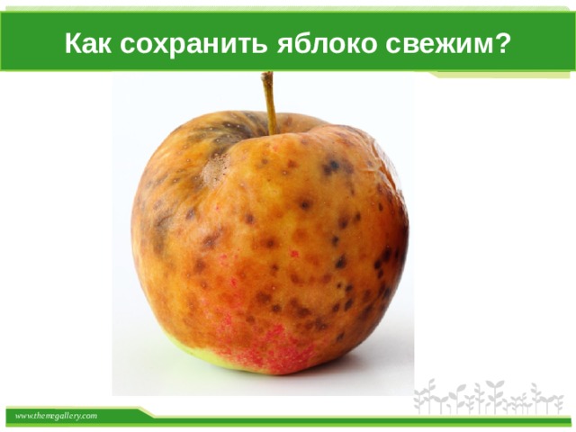 Как сохранить яблоко свежим?  