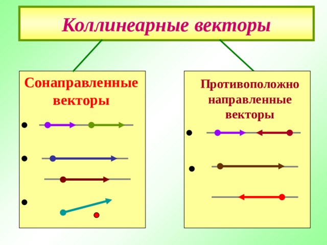 Коллинеарные векторы Сонаправленные векторы  Противоположно направленные векторы 