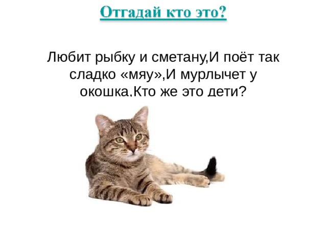 Любит рыбку и сметану,И поёт так сладко «мяу»,И мурлычет у окошка,Кто же это дети?    