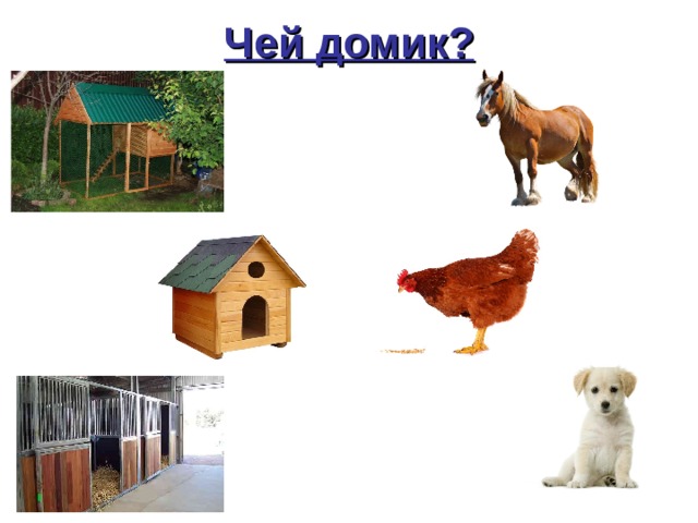 Чей домик? 