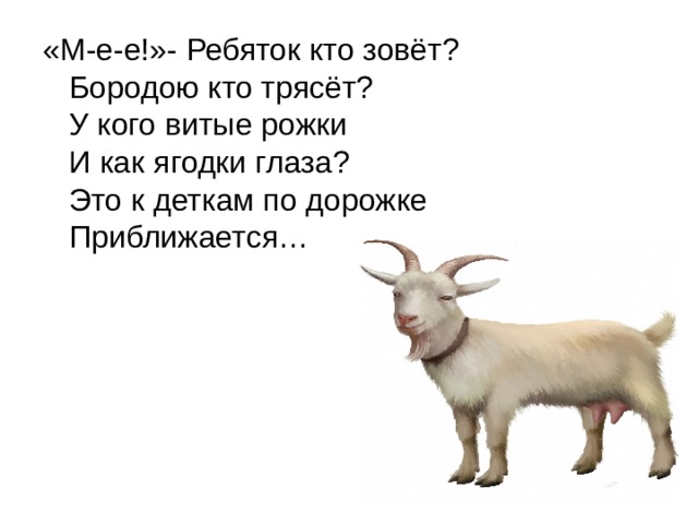 «М-е-е!»- Ребяток кто зовёт?  Бородою кто трясёт?  У кого витые рожки  И как ягодки глаза?  Это к деткам по дорожке Приближается… 