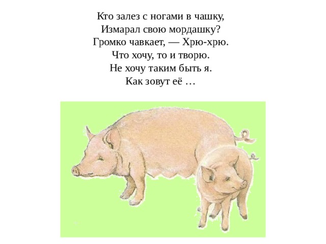 Кто залез с ногами в чашку,  Измарал свою мордашку?  Громко чавкает, — Хрю-хрю.  Что хочу, то и творю.  Не хочу таким быть я.  Как зовут её … 