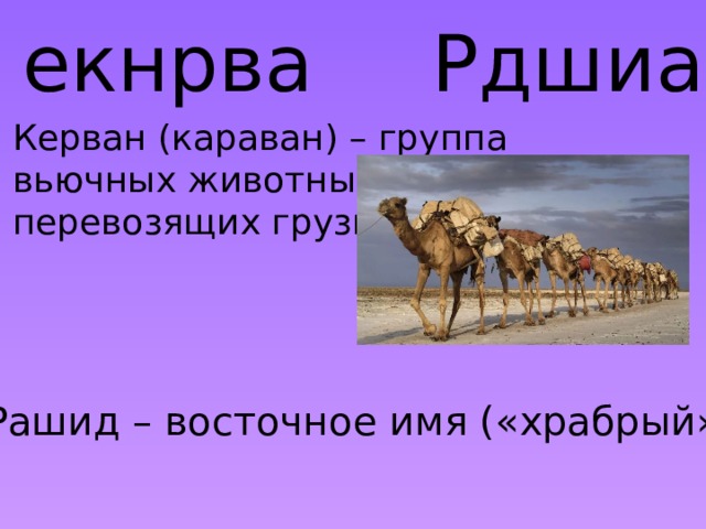 Рдшиа екнрва Керван (караван) – группа вьючных животных, перевозящих грузы. Рашид – восточное имя («храбрый»).