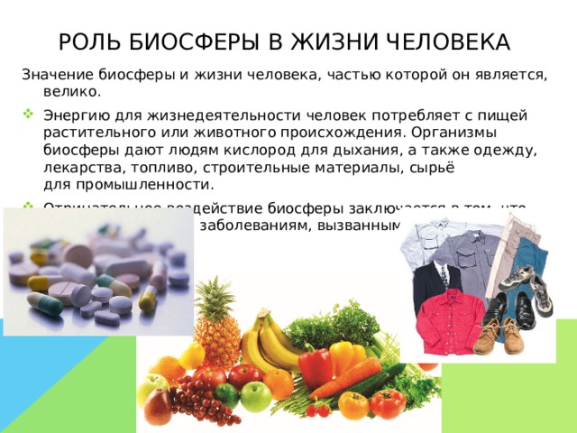 Роль биосферы в жизни человека  Значение биосферы и жизни человека, частью которой он является, велико. Энергию для жизнедеятельности человек потребляет с пищей растительного или животного происхождения. Организмы биосферы дают людям кислород для дыхания, а также одежду, лекарства, топливо, строительные материалы, сырьё для промышленности. Отрицательное воздействие биосферы заключается в том, что человек подвержен заболеваниям, вызванным вирусами и бактериями.    