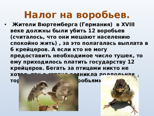 Налог на воробьев.   Жители Вюртемберга (Германия) в XVIII веке должны были убить 12 воробьев (считалось, что они мешают населению спокойно жить) , за это полагалась выплата в 6 крейцеров. А если кто не могу предоставить необходимое число тушек, то ему приходилось платить государству 12 крейцеров. Бегать за птицами никто не хотел, так в стране возникла подпольная торговля мертвыми воробьями. 