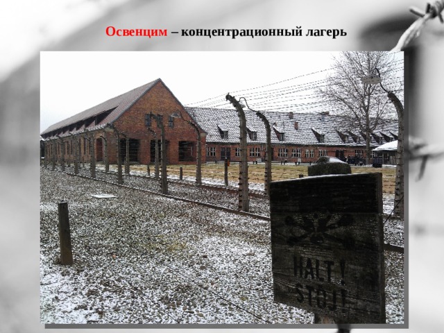 Освенцим – концентрационный лагерь 