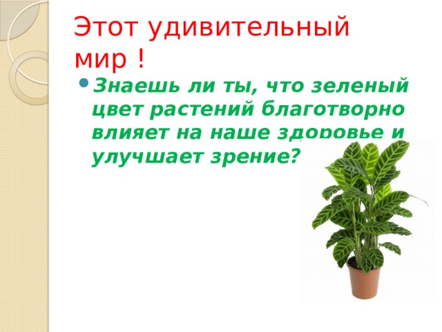 Этот удивительный мир ! Знаешь ли ты, что зеленый цвет растений благотворно влияет на наше здоровье и улучшает зрение? 