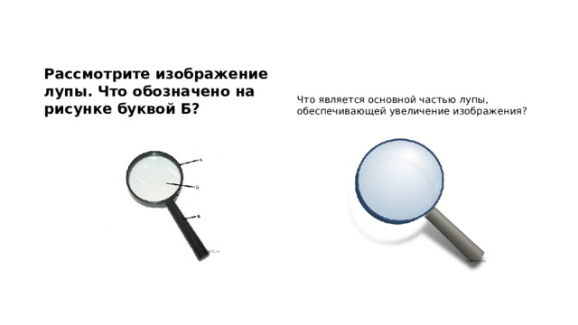 Рассмотрите изображение штативной лупы рис 1 что обозначено на рисунке буквой а ответ