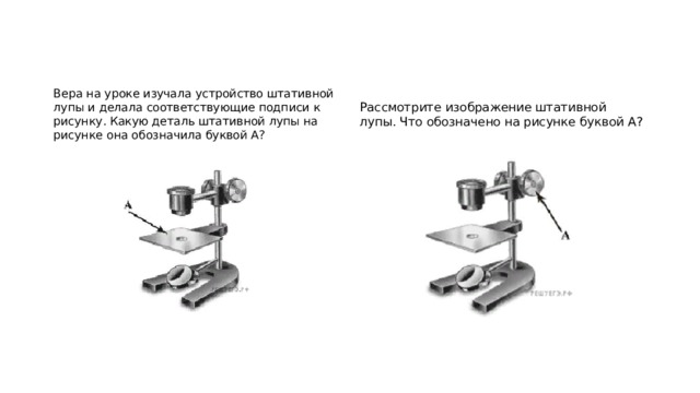 Ученик на уроке изучал устройство микроскопа и делал соответствующие подписи к рисунку какую деталь