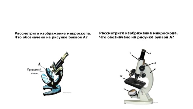 Рассмотрите рисунок микроскопа. Рассмотрите изображение микроскопа. Что обозначено на рисунке буквой. Рассмотрите изображение микроскопа. 4.1 Рассмотрите рисунок микроскопа. Рассмотрите изображение микроскопа что означает на рисунке буквой а.