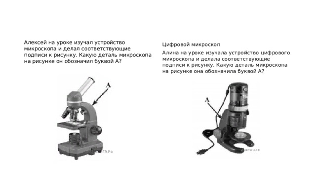 Какая функция выполняется частью микроскопа обозначенной на рисунке буквой е