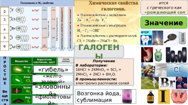 Галогены в таблице. Получение галогенов презентация 9 класс Габриелян. Рождающие соли галогены проект. Биологическое значение галогенов. Свойства галогенов 9 класс.