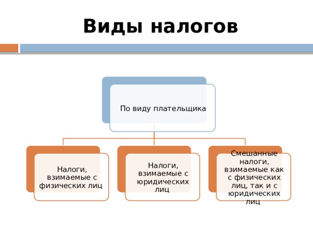 Виды налогов По виду плательщика Налоги, взимаемые с физических лиц Налоги, взимаемые с юридических лиц Смешанные налоги, взимаемые как с физических лиц, так и с юридических лиц 