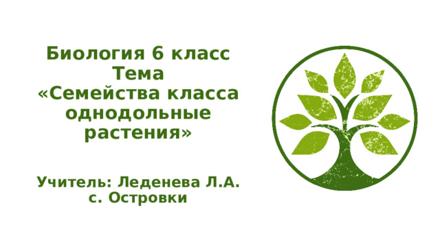 Биология 6 класс  Тема  «Семейства класса однодольные растения»    Учитель: Леденева Л.А.  с. Островки 