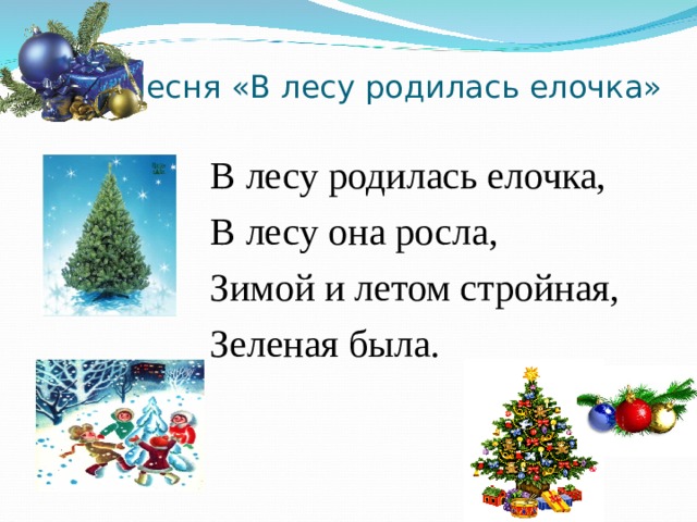 Родилась елочка минусовка. Лесу родилась елочка зимой она росла и летом. Елочка росла зимой и летом. В лесу родилась ёлочка песня.