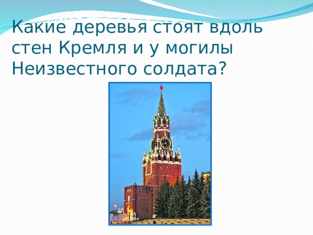 Какие деревья стоят вдоль стен Кремля и у могилы Неизвестного солдата? 