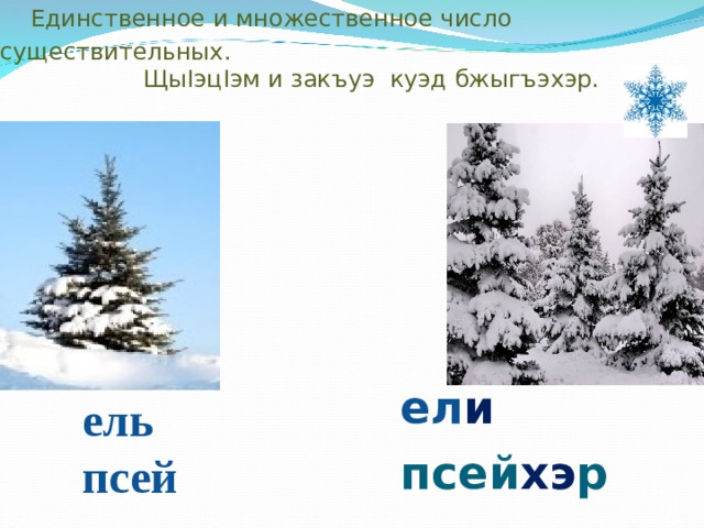  Единственное и множественное число существительных.  Щы I эц I эм и закъуэ куэд бжыгъэхэр. ел и псей хэ р ель  псей 