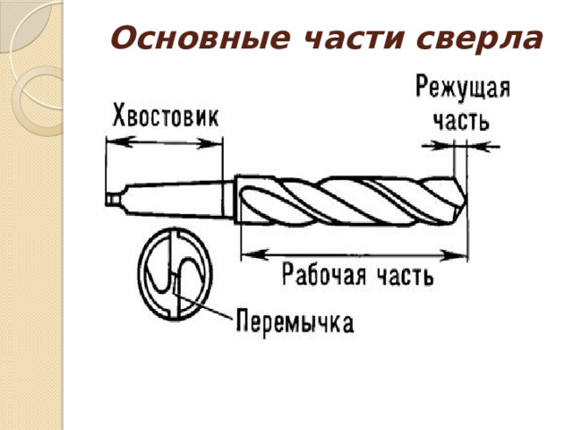 Основные части сверла 
