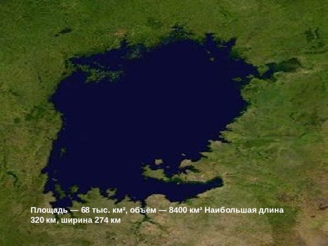 Озеро Виктория Площадь — 68 тыс. км², объём — 8400 км³ Наибольшая длина 320 км, ширина 274 км   