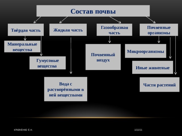 Состав почвы Газообразная часть Твёрдая часть Почвенные организмы Жидкая часть Минеральные вещества Микроорганизмы Почвенный воздух Гумусовые вещества Иные животные Вода с растворёнными в ней веществами Части растений Кравченко Е.Н. 1/22/21 