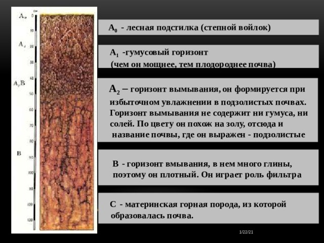 Расположи почвы по увеличению мощности гумусового горизонта