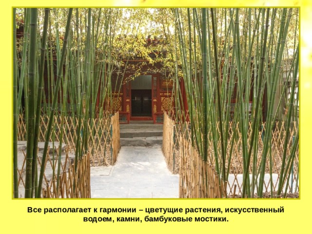 Все располагает к гармонии – цветущие растения, искусственный водоем, камни, бамбуковые мостики. 