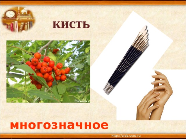 кисть многозначное  