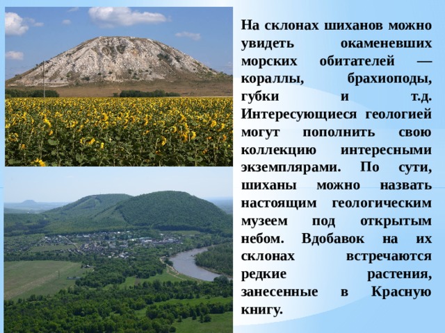 На склонах шиханов можно увидеть окаменевших морских обитателей — кораллы, брахиоподы, губки и т.д. Интересующиеся геологией могут пополнить свою коллекцию интересными экземплярами. По сути, шиханы можно назвать настоящим геологическим музеем под открытым небом. Вдобавок на их склонах встречаются редкие растения, занесенные в Красную книгу. 