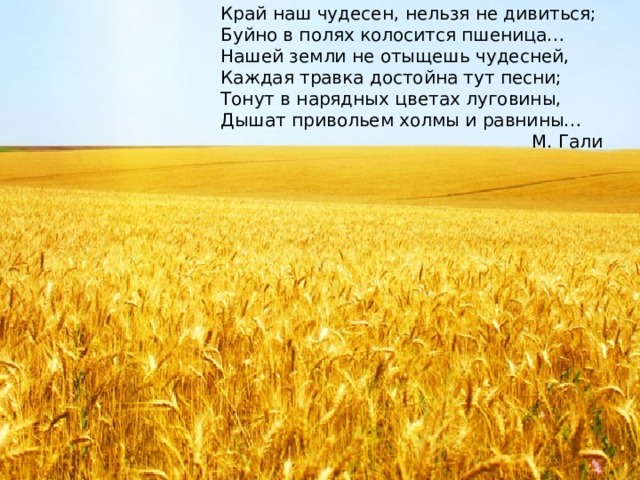 Край наш чудесен, нельзя не дивиться; Буйно в полях колосится пшеница… Нашей земли не отыщешь чудесней, Каждая травка достойна тут песни; Тонут в нарядных цветах луговины, Дышат привольем холмы и равнины…  М. Гали 