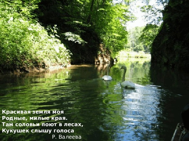 Красивая земля моя   Родные, милые края.   Там соловьи поют в лесах,  Кукушек слышу голоса  Р. Валеева  