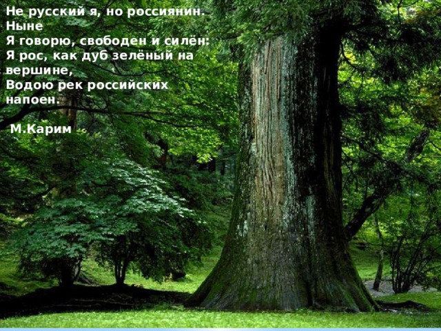 Не русский я, но россиянин. Ныне   Я говорю, свободен и силён:   Я рос, как дуб зелёный на вершине,   Водою рек российских напоен.   М.Карим    