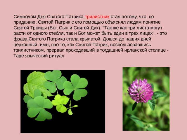 Символом Дня Святого Патрика трилистник стал потому, что, по приданию, Святой Патрик с его помощью объяснял людям понятие Святой Троицы (Бог, Сын и Святой Дух). 