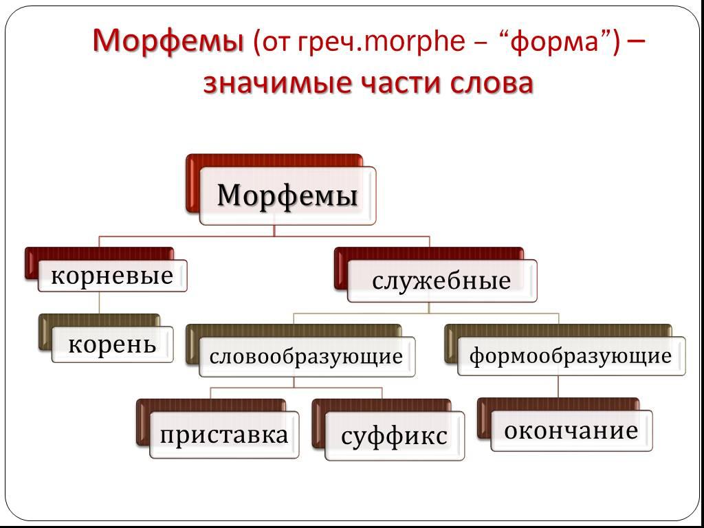 Морфемика и словообразование как разделы лингвистики. Типы морфем схемы. Корневые и служебные морфемы. Группы морфем корневые и служебные. Корневые морфемы.