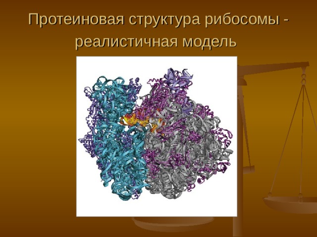 Протеиновая структура рибосомы - реалистичная модель  