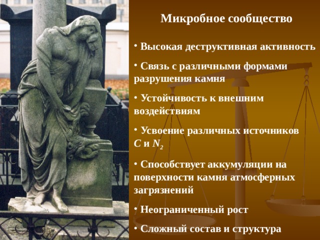 Микробное сообщество  Высокая деструктивная активность  Связь с различными формами разрушения камня  Устойчивость к внешним воздействиям  Усвоение различных источников C  и N 2  Способствует аккумуляции на поверхности камня атмосферных загрязнений  Неограниченный рост  Сложный состав и структура     